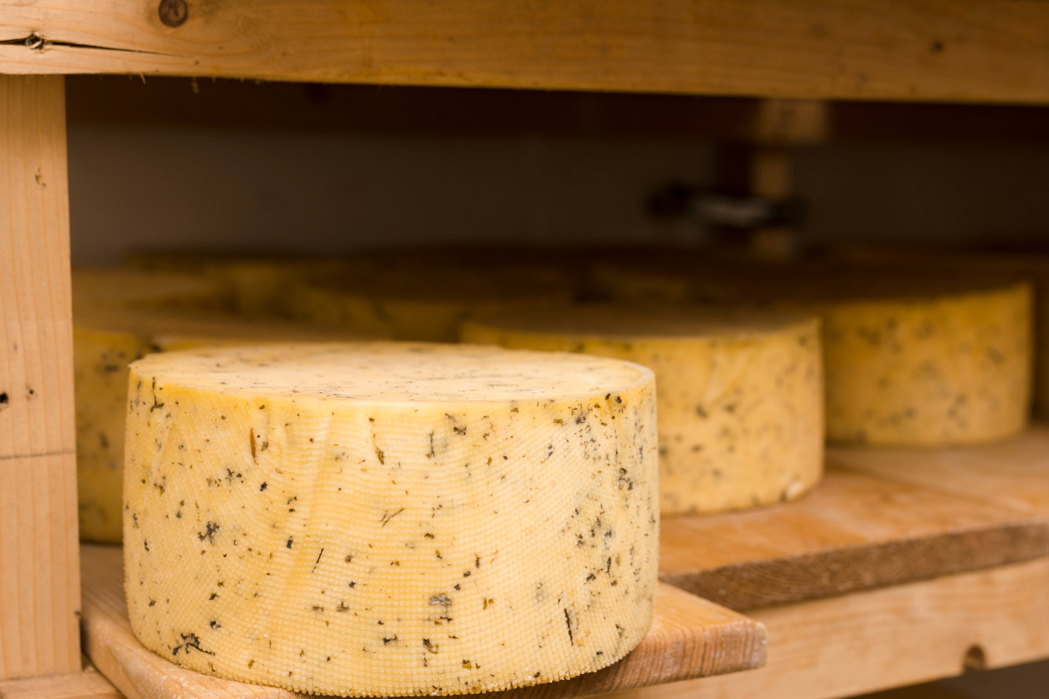 Les secrets de l'affinage du fromage