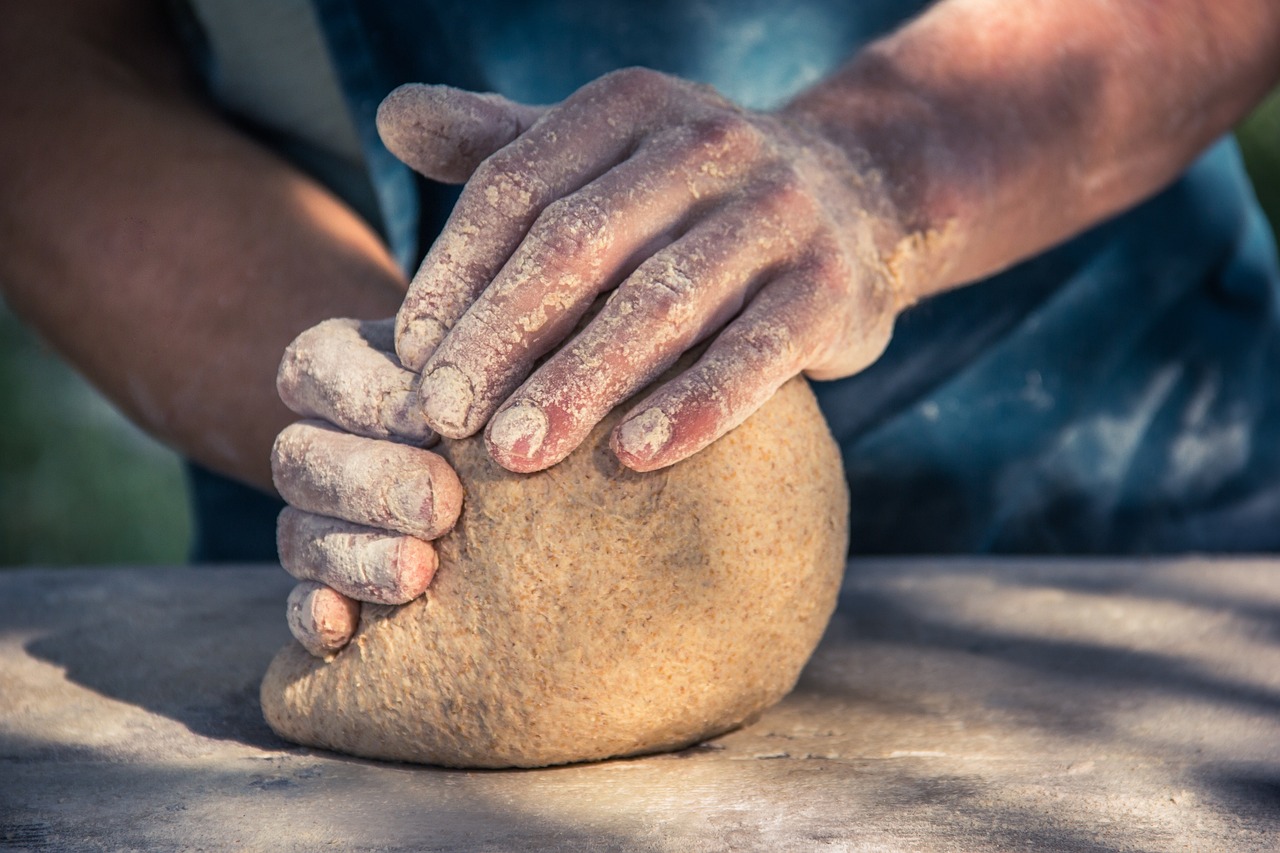 Tous les secrets du pain : héritage des premiers cueilleurs