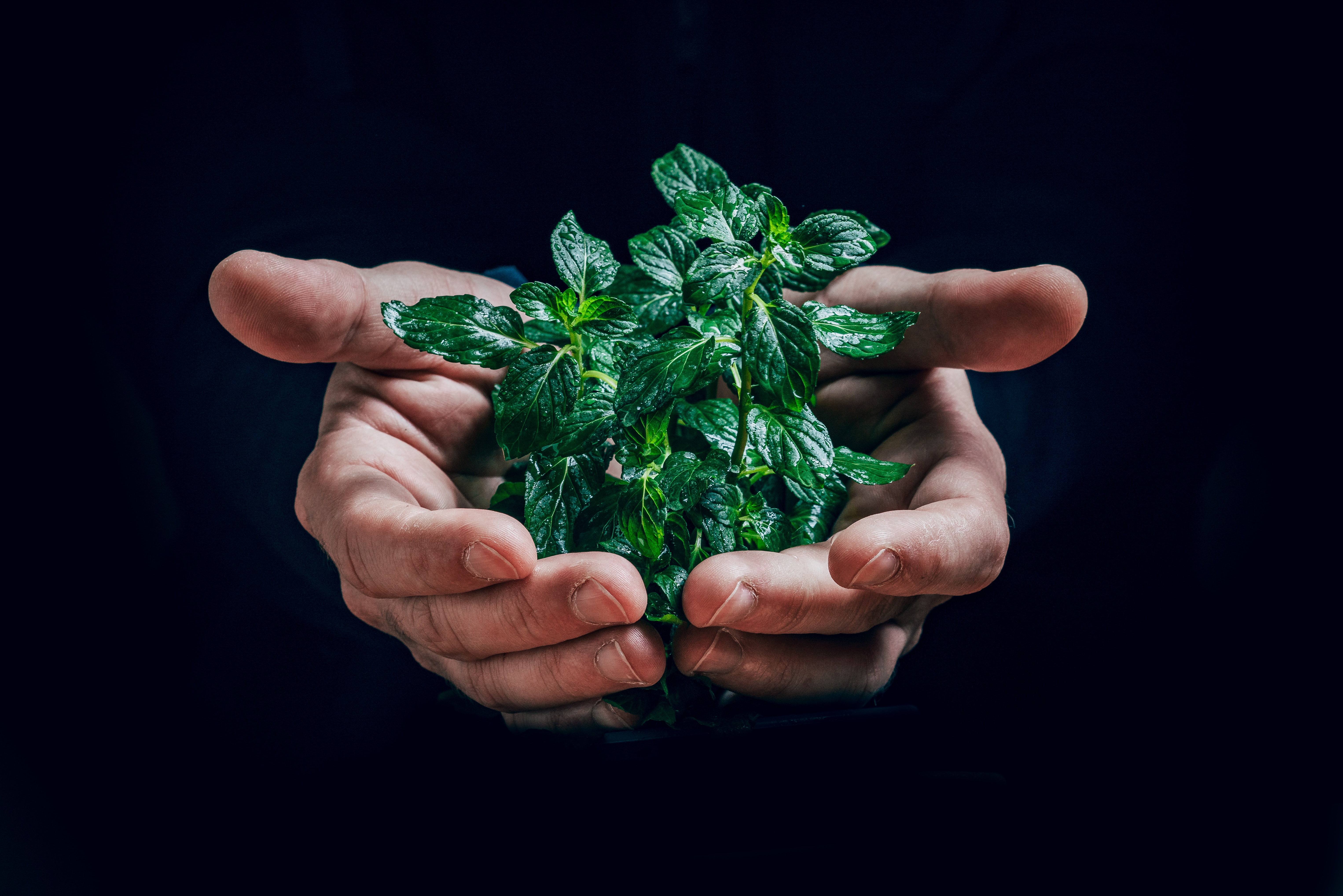 "M Ta terre" pour aider à trouver des solutions écologiques