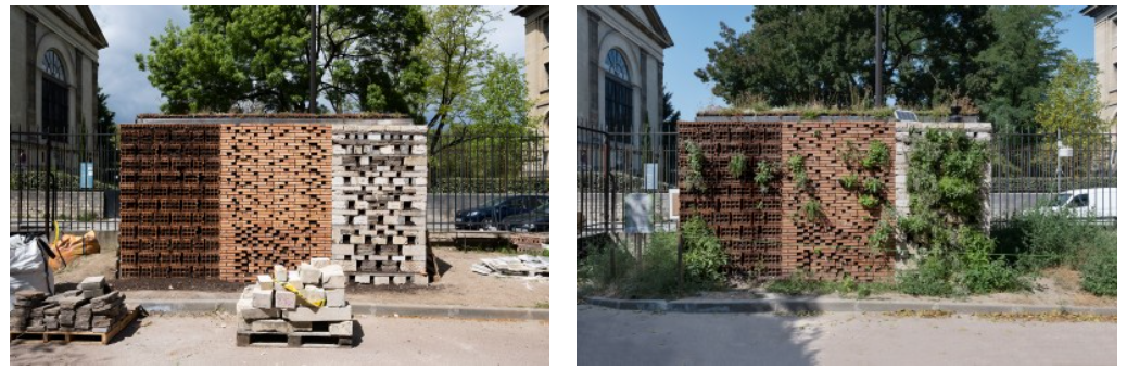 Mur biodiversitaire et porosité des sols