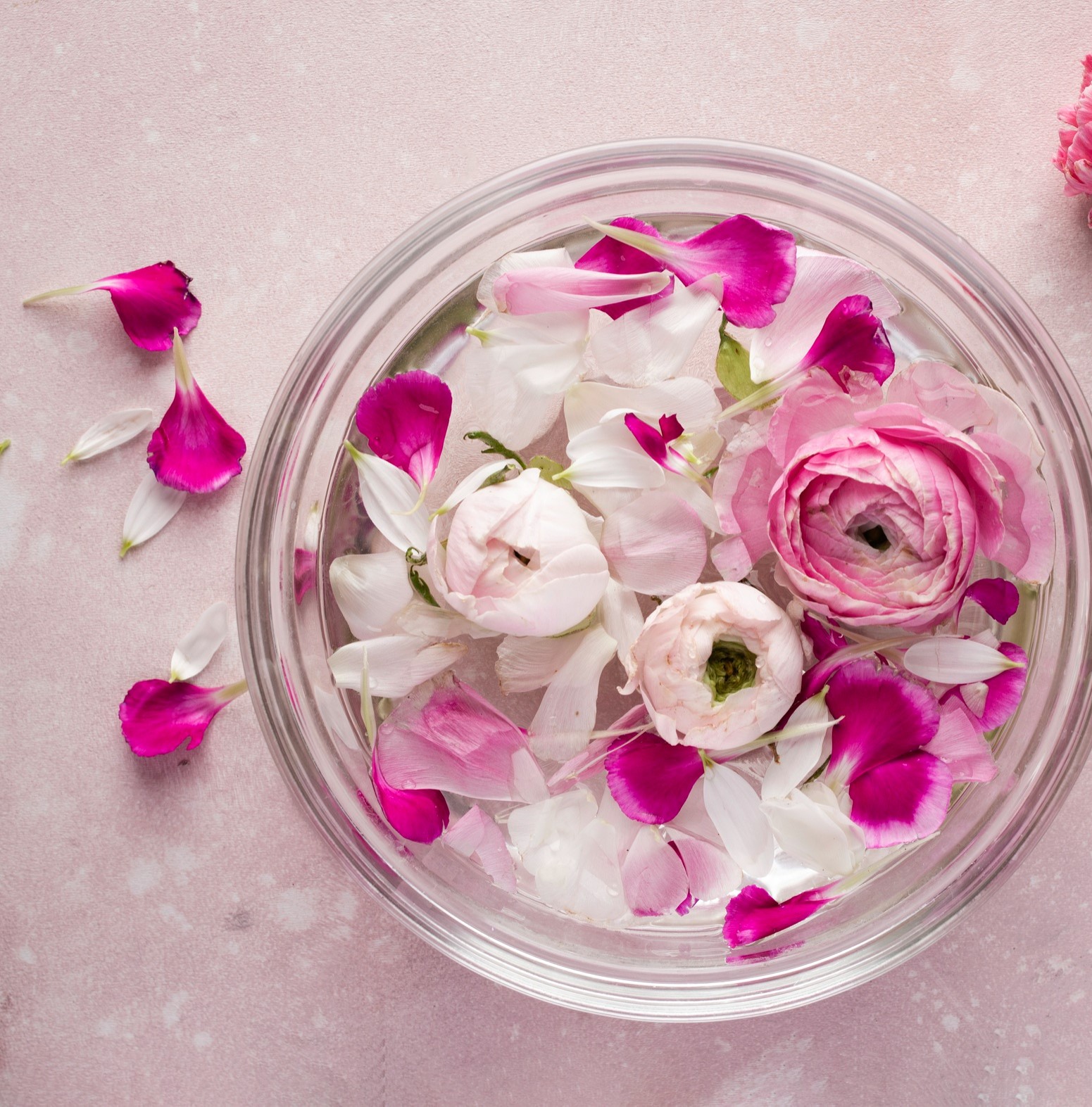 La fleur de rose en art culinaire