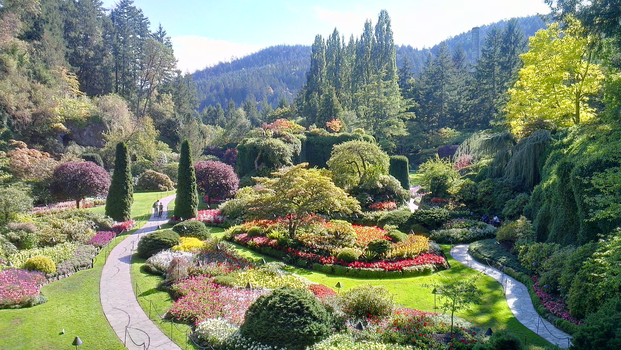 Représentation du métier de Jardinier-Paysagiste