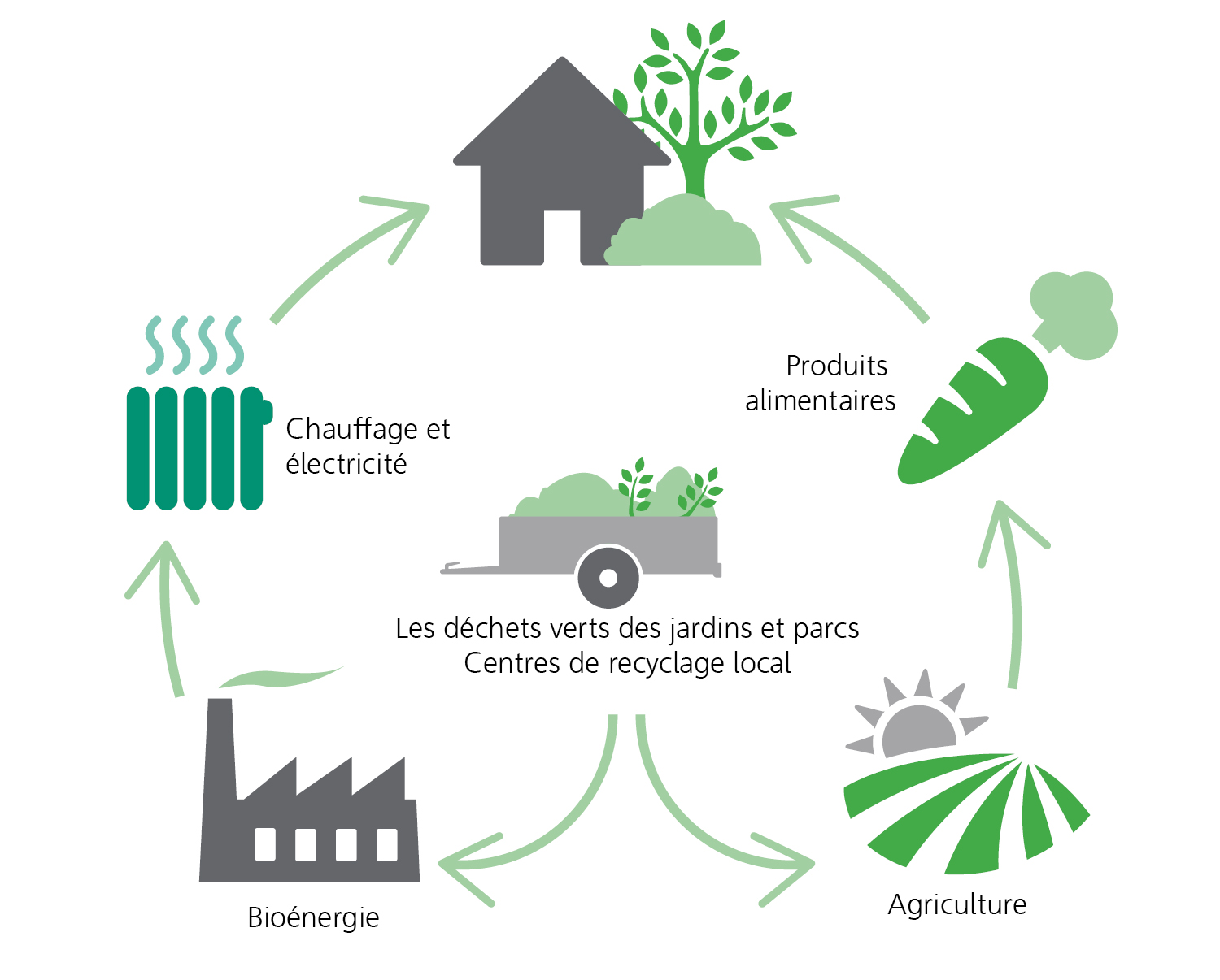 La Pyrogazéification  des CSR