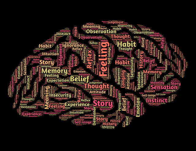 Aménagement de l'espace et apprentissages