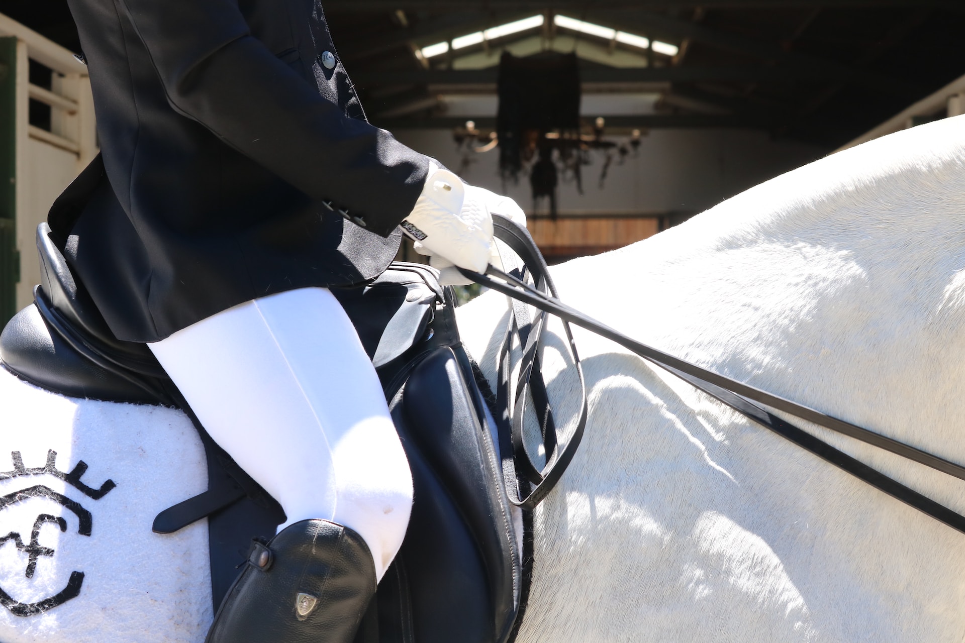 Salon du Cheval - Paris