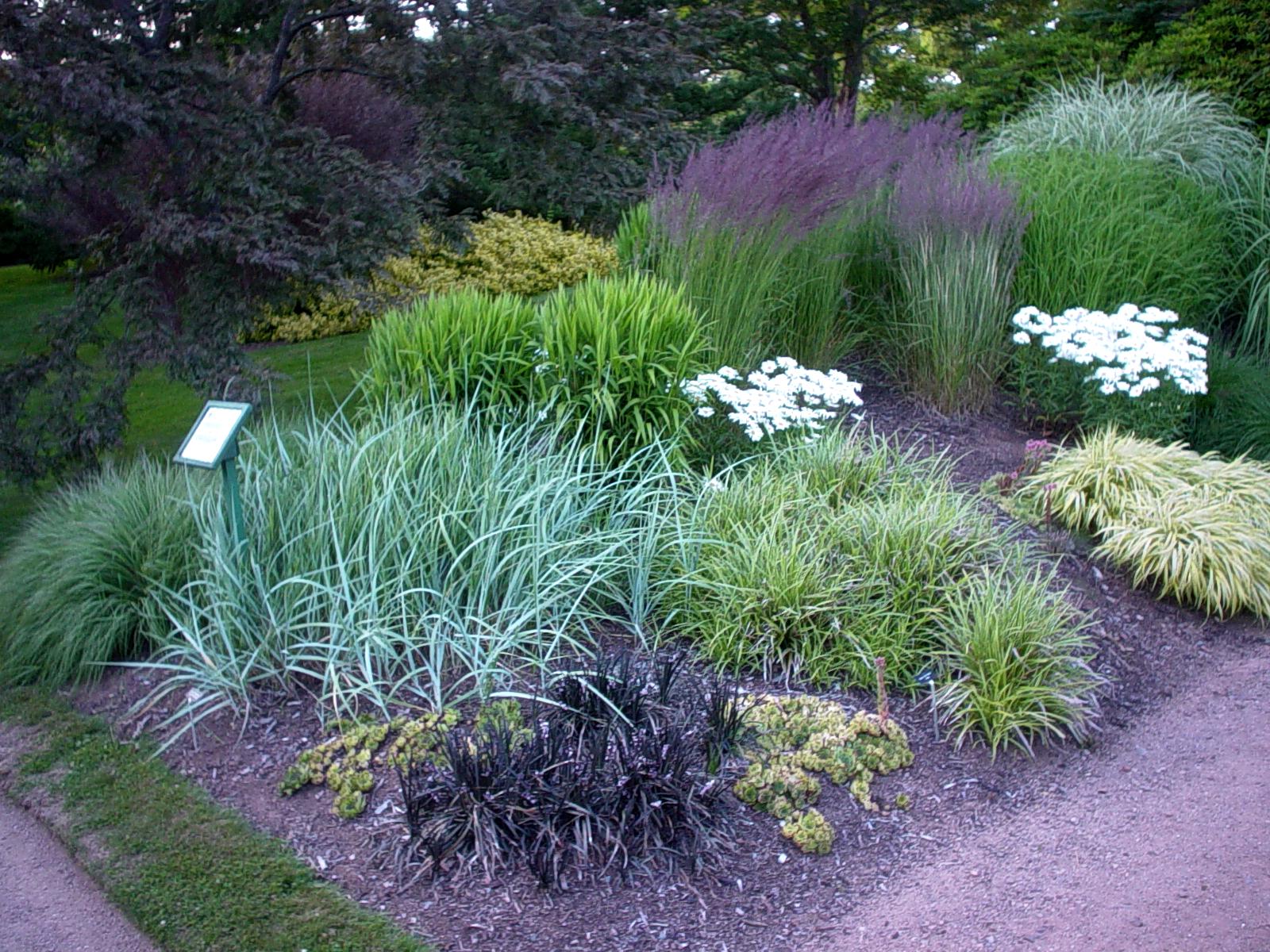 Pour un jardin plus résilient