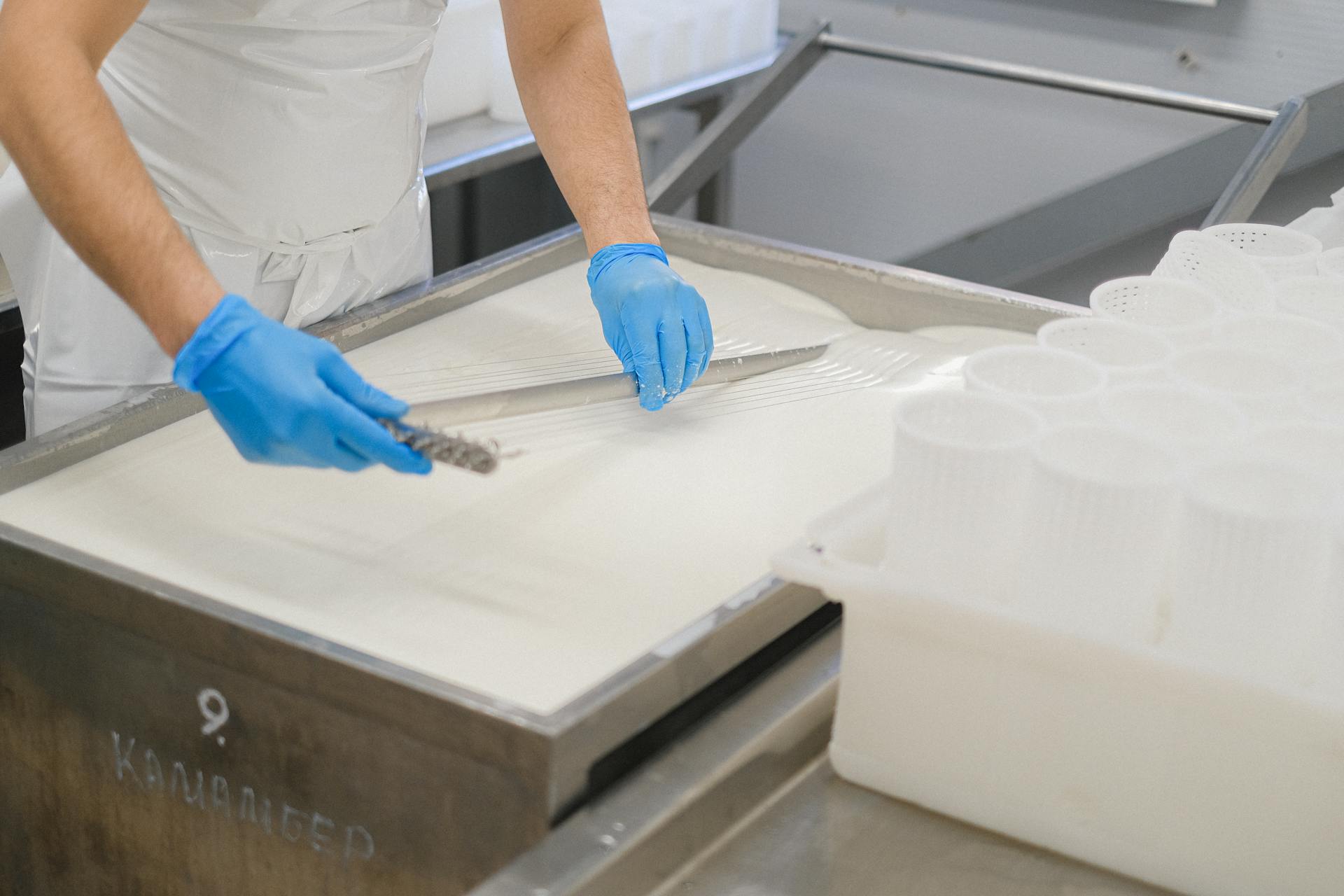 Journée mondiale du lait