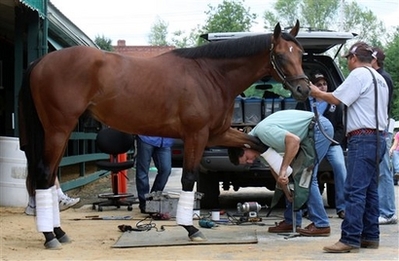 Salon du cheval de Bordeaux