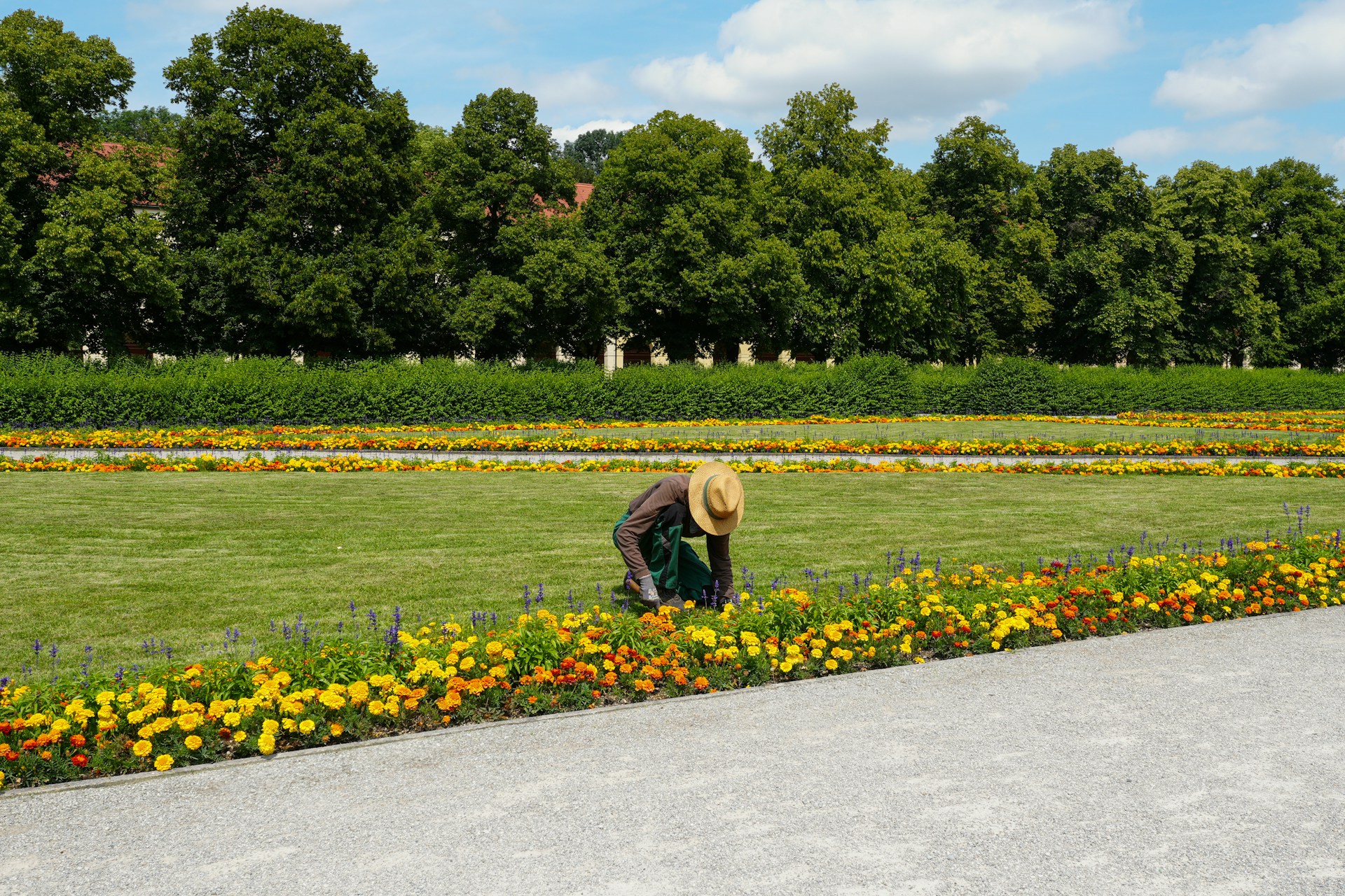 Mise en valeur de jardins patrimoniaux