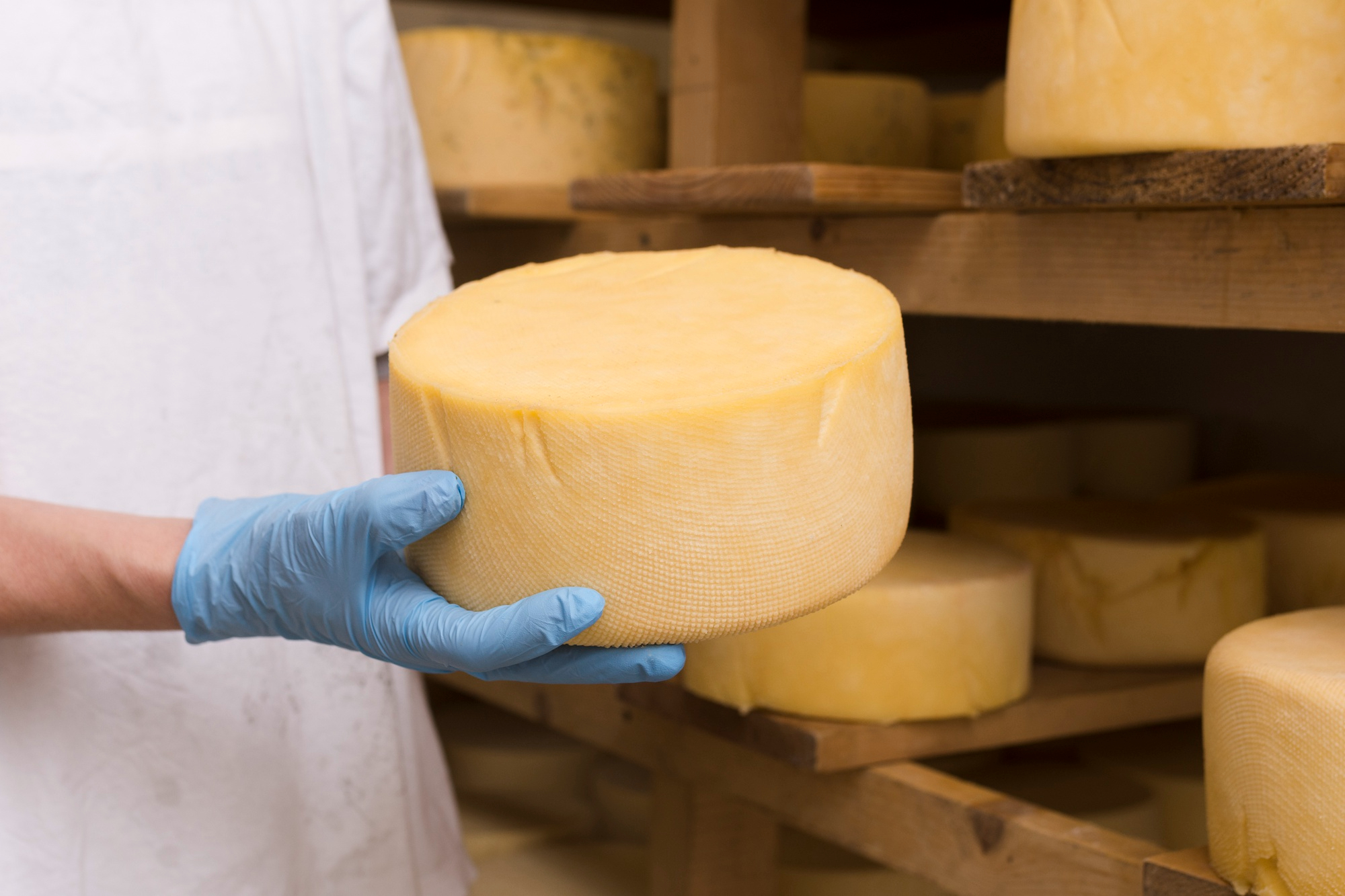 Mondial du fromage et des produits laitiers