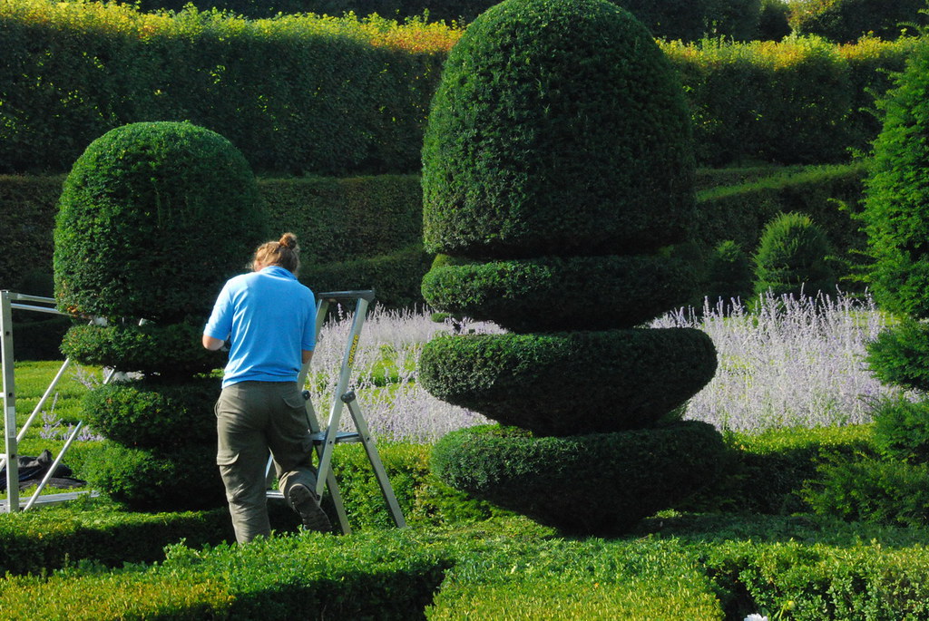 Maison & Jardin